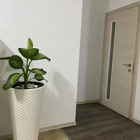 Appartement Main