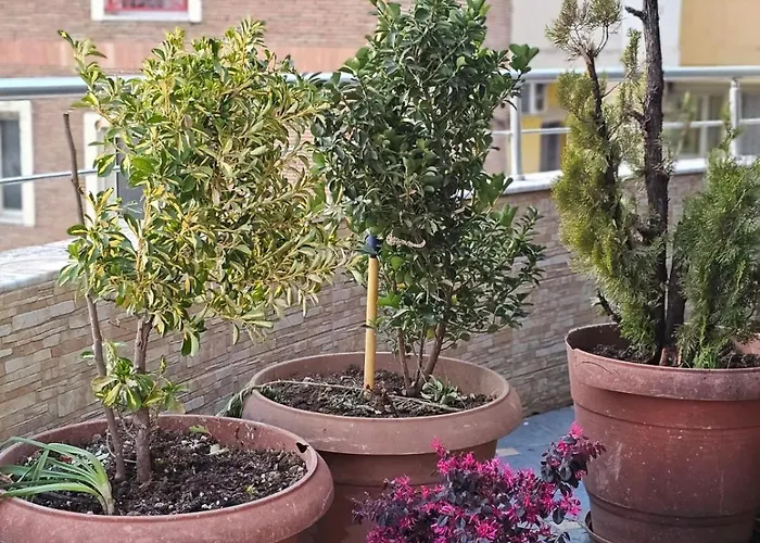 Main Apartment Tirana